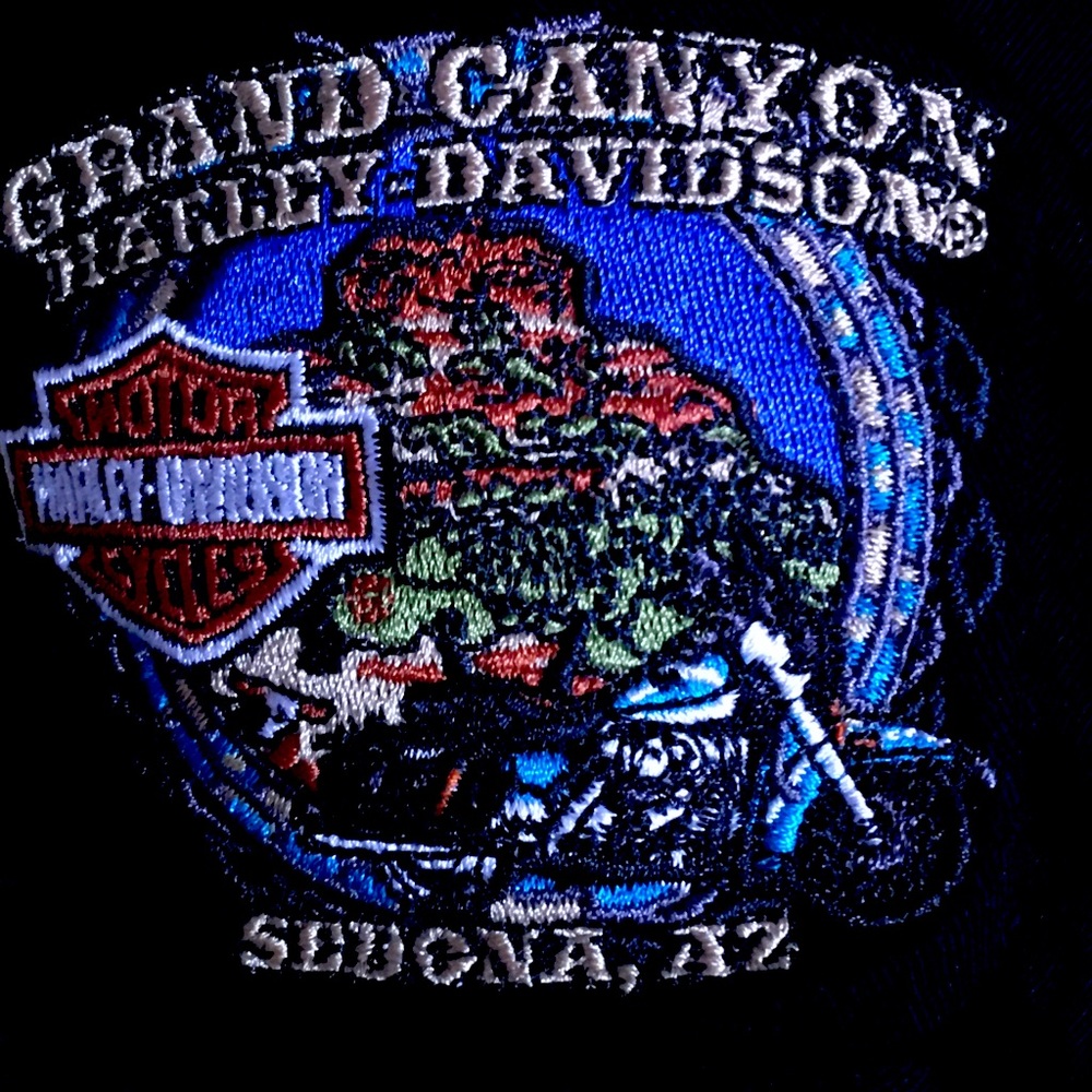 Harley Davidson skullcap